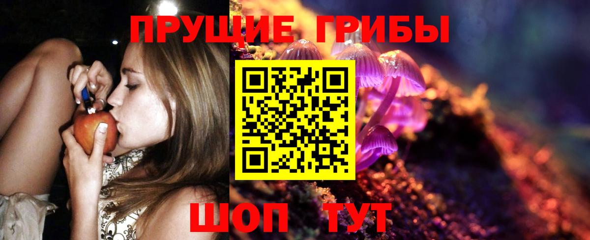 Добрянка  Галлюциногенные грибы GOLDEN TEACHER  Галлюциногенные грибы Psilocybe  Вход с VPN 
