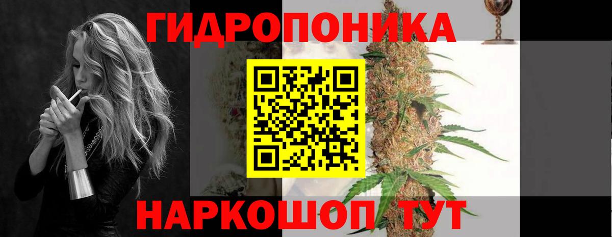 Добрянка  Конопля OG Kush  Марихуана White Widow  МАРИХУАНА план  Вход с VPN 